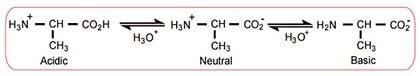 Isoelectric point