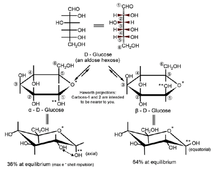 Cyclic structure