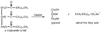 MCAT Biochemistry Macromolecules Fatty Acids