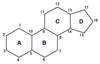 MCAT Biochemistry Macromolecules - Basic Ring Structure of Steroids