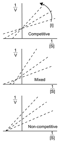 MCAT Biochemistry Kinetics- Competitive Inhibitors