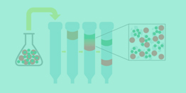 MCAT Biochemistry Biotechnology: Summary II