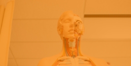 What are the MCAT subjects?