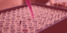 Rate Processes in Chemical Reactions